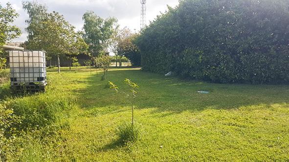 Maison Calme Et Paisible La Faye  Buitenkant foto